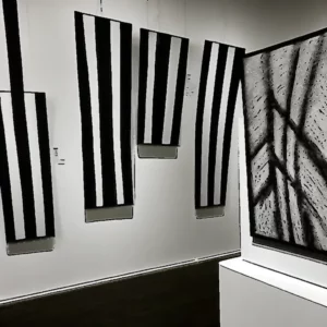 Exhibition review Black and white and Redcar for the win! 3 Artistic representation for Exhibition review Black and white and Redcar for the win!