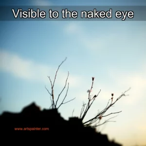 Artistic representation for Visible to the naked eye