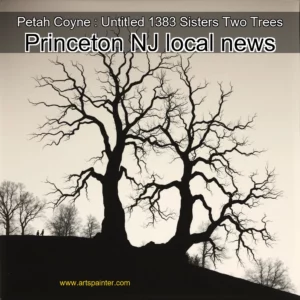 Artistic representation for Petah Coyne : Untitled 1383 Sisters Two Trees Princeton NJ local news