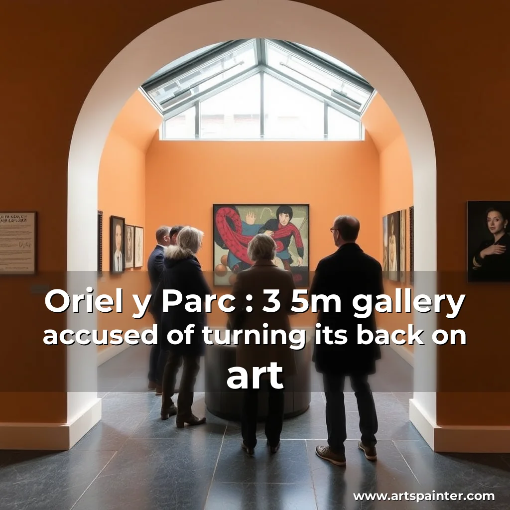 Read more about the article Oriel y Parc : 3  5m gallery accused of turning its back on art
