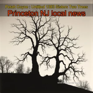 Artistic representation for Petah Coyne : Untitled 1383 Sisters Two Trees Princeton NJ local news