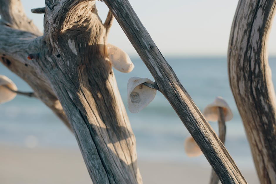 Read more about the article Our Beautiful Driftwood Artwork Is Made From Real Wood