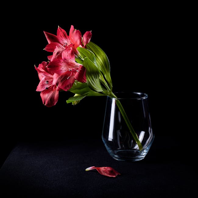 10 Tips to Improve your Still Life Art