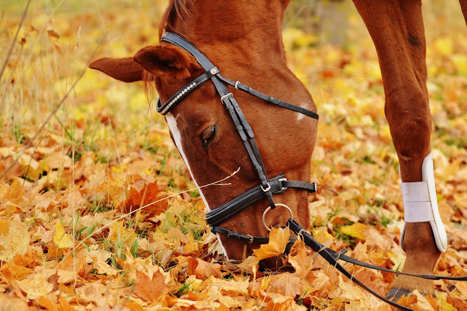 Read more about the article Has Your Horse Been Poisoned? Learn How To Recognize And Treat It